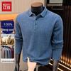 Hodo Men's 100% Merino Wool Thickened Polo Sweater