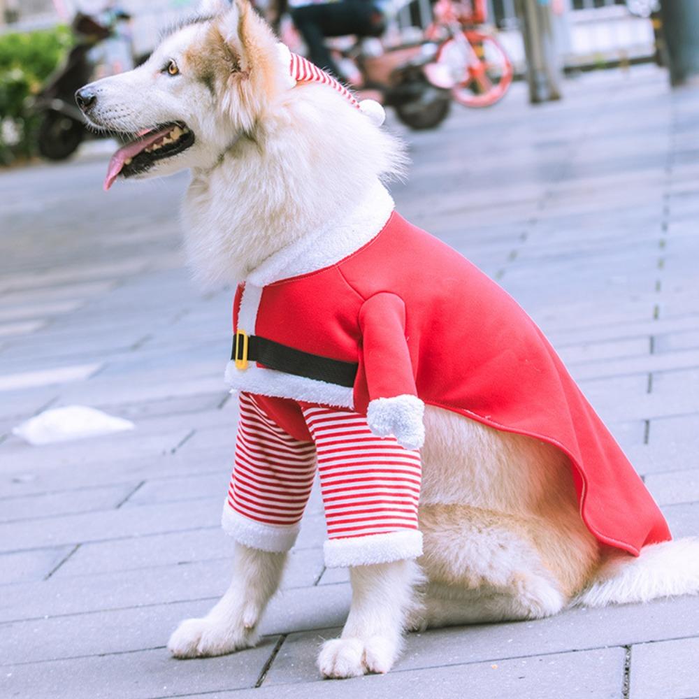 Medium and large Christmas dog dog cat clothes dog pet supplies autumn and winter fleece funny cat two feet golden hair transformation