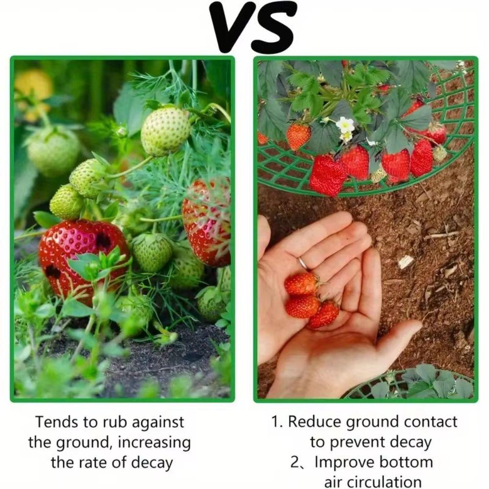 1/3Pcs Anti-ground Plant Tray Stand  for Protecting Strawberries from Mold Rot and Dirt