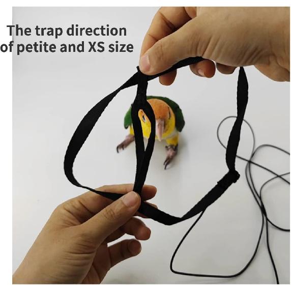 Adjustable Bird Harness with 78.7 Inch Leash, Outdoor Flying Training Rope Kit for Bird Parrots, Parrot Flying Rope Straps Outdoor Training Traction