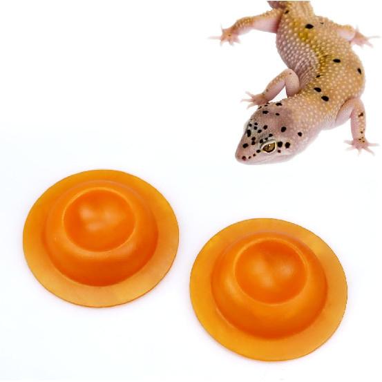 2 pack Gecko Calcium Dish for Leopard Geckos Reptiles Small Pets Leopard Gecko Food Dish Calcium Bowl Reptile Water Dish Food Bowl