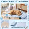 Dog Non- Scratch Pet Pad for Summer