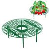 Sturdy Stands Strawberry Plant Support Stand Avoid Ground Strawberry Planting Frame  Balcony Rack