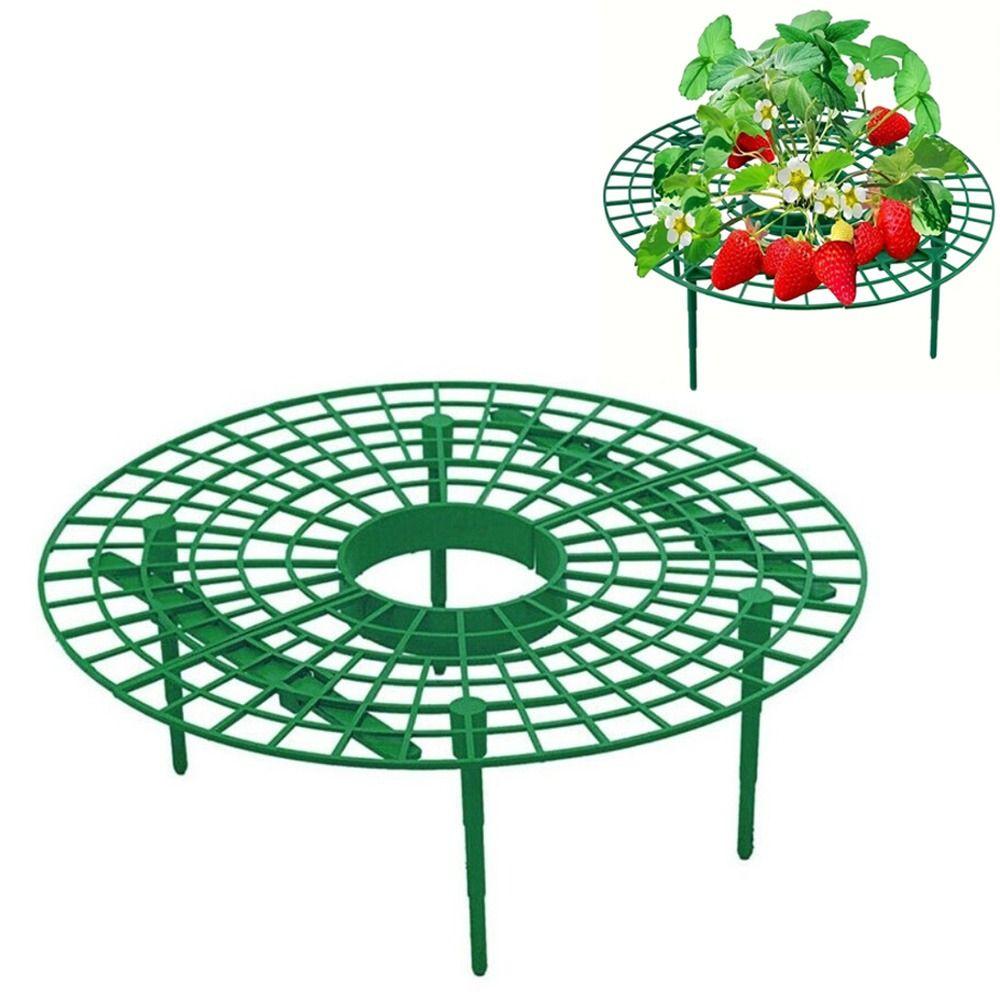 Sturdy Stands Strawberry Plant Support Stand Avoid Ground Strawberry Planting Frame  Balcony Rack