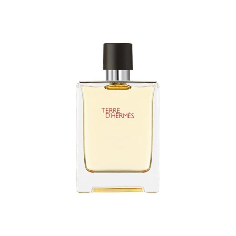 HERMES Terre D`HERMES Parfīms 100ml|Without Gift