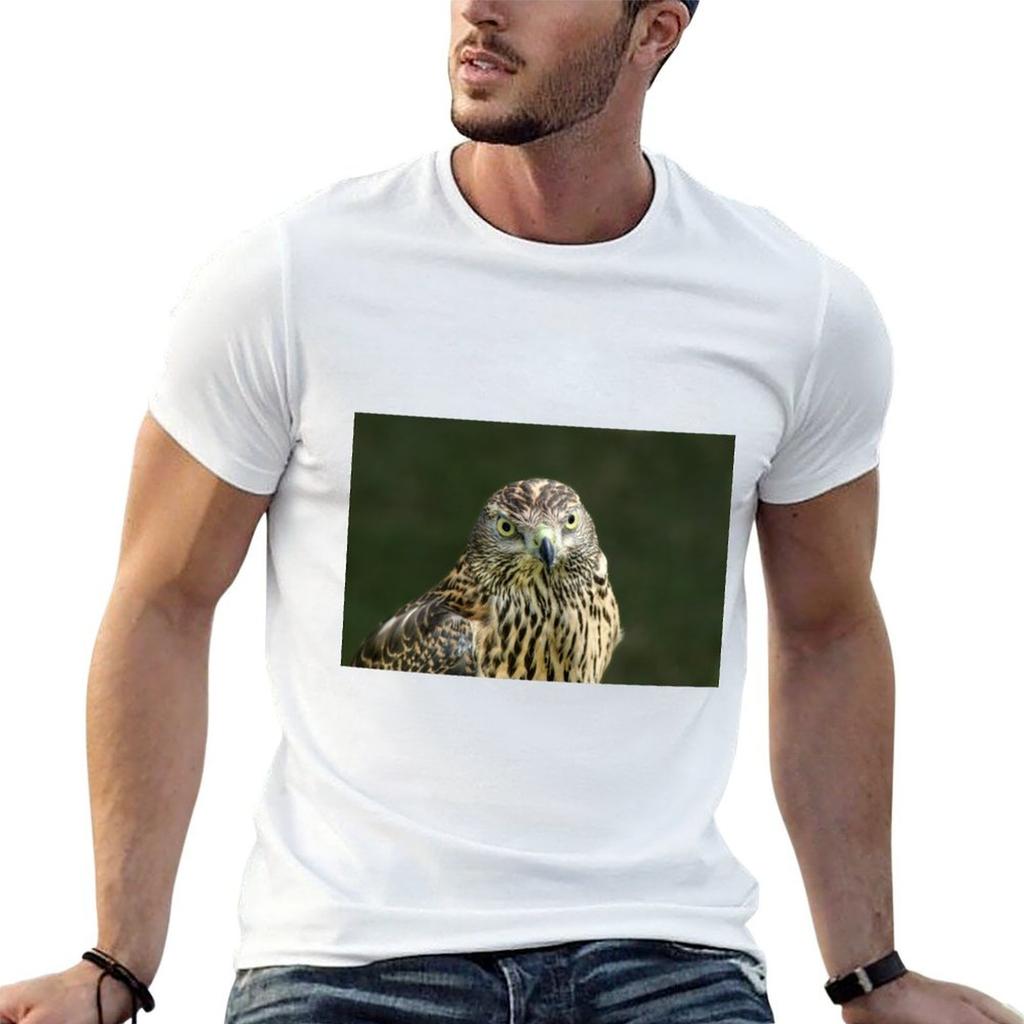 Goshawk TShirt Unisex T Shirt Graphic G Unisex T Shirts for Unisex T Shirt Unisex Cotton Luxury Brand Tshirt