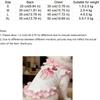 Breathable Pet Dress Shirt Ruffles Design Pet Princess Dress Dog Floral Lace Skirt  Photography