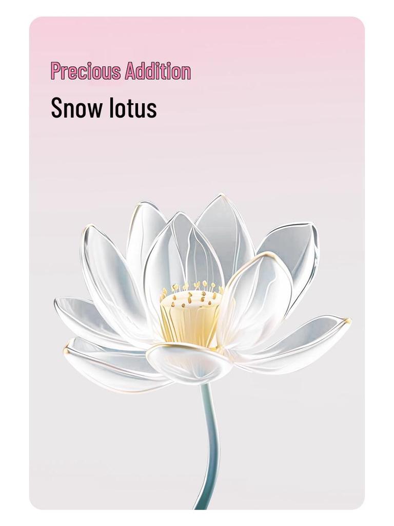 Set de Patchs Soin Parties Intimes Lotus des Neiges: Serviettes hygiéniques antibactériennes à base de plantes Aishubao, 100 pièces