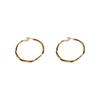 Simple and Versatile Circle Earrings, New Trendy Women's Niche Design, High-end Temperament, Light Luxury Accessories