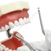 Dental Floss Holder Stainless Steel  Reusable Floss Clip Teeth Cleaning Tool Oral Care
