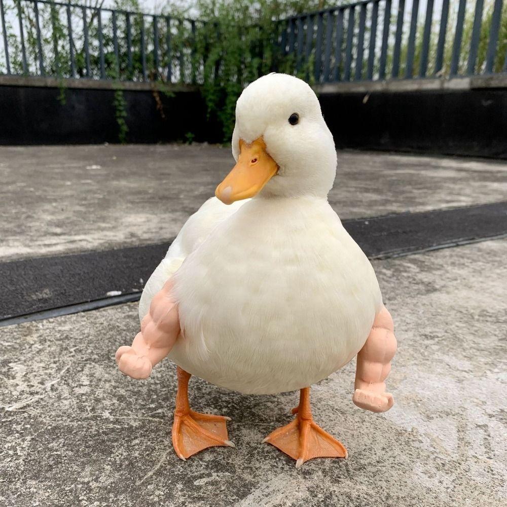 Funny Wearing Muscle Arm Hulk Arms Chicken Forelimb Toy Fighting Chicken Arms Toys Pet Theme Party