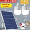 Solar Outdoor Motion Sensor Floodlight