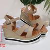 Fashion Summer Women's Sandals New Wedge Heeled Sandals Women 2025 Chunky Platform Women Shoes Fashion Ankle Buckle Thick Sole Sandalias