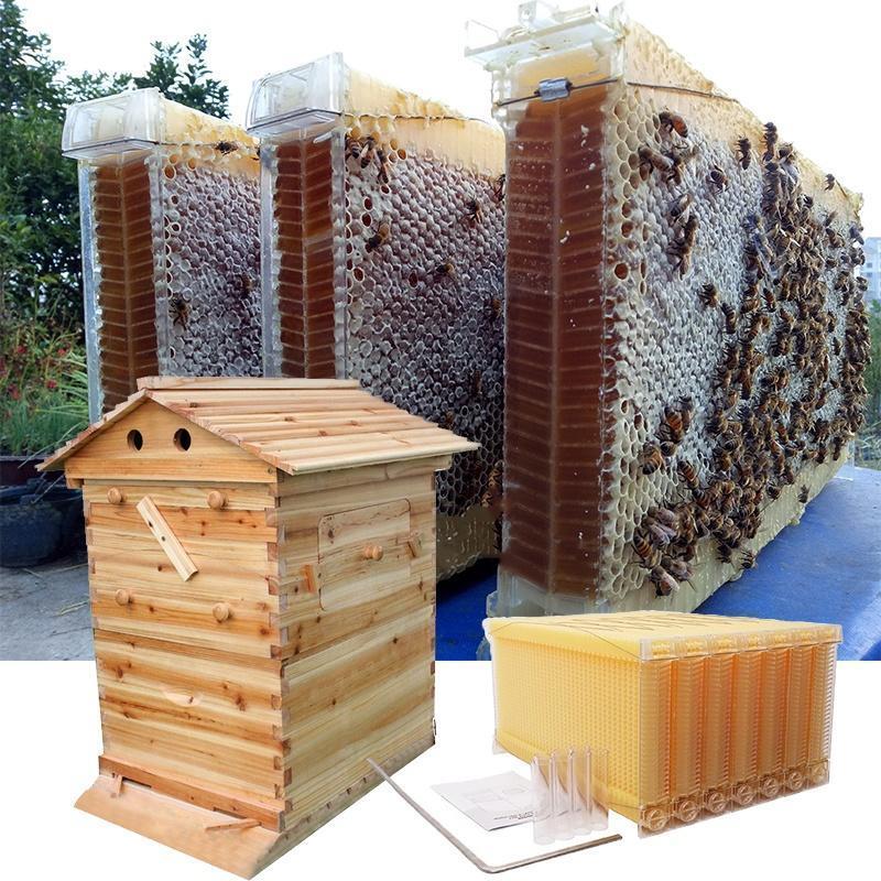 Beekeeping Cedarwood Super Brood Box Wooden Box FOR Honey Bee Hive