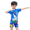 Summer Boys' Quick-Dry One-Piece Swimsuit - Korean Style Toddler & Child Swimwear