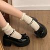 French Mary Jane small leather shoes women's 2025 spring new thick-soled heightening bow with skirt thick heel high heel single shoes