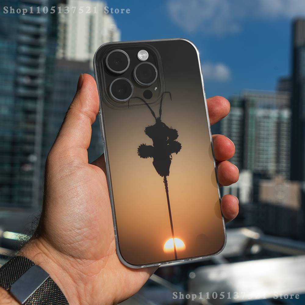 Black Myth Wukong Phone Case For iPhone 17,16,11,15,13,14,12,Air,Mini,Plus,Pro,Max,Plus,E Clear Soft Shell