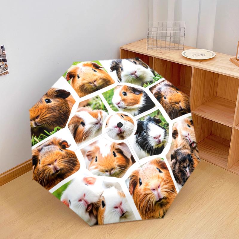 1 Stück Automatischer Faltregenschirm - Meerschweinchen-Muster, Tragbares & Faltbares Design mit 8 Speichen, Weihnachts-Geburtstagsgeschenke