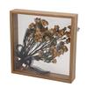 Modern Minimalist DIY Preserved Flower Mirror Frame - Decorative Hollow Picture and Dry Flower Display Stand