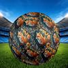 1pc Fox Garden Theme Soccer Ball Football, Size 5, Lightweight PVC, Durable Outdoor Training Soccer Ball, Gift M61476