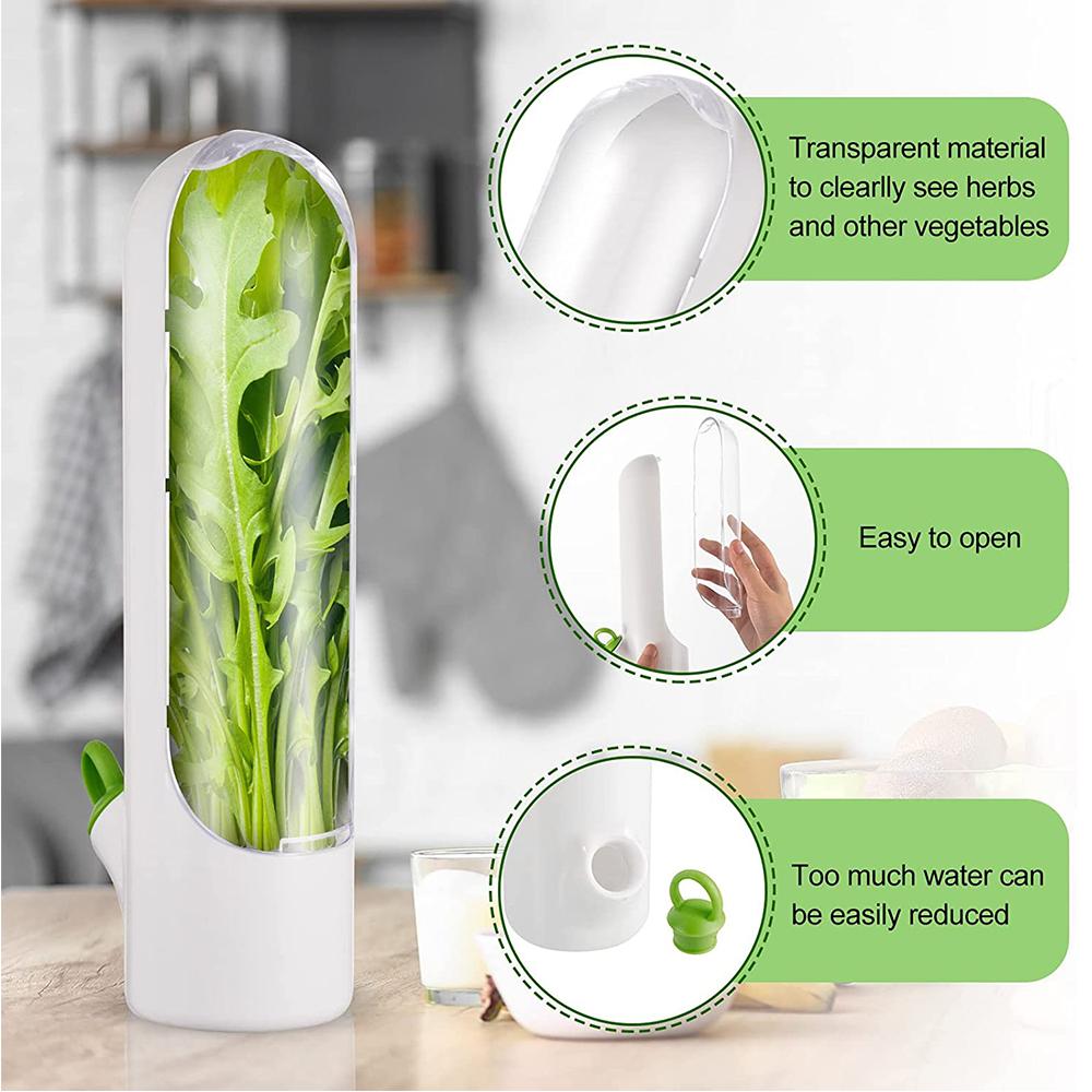 Herb Saver for Refrigerator for Cilantro, Asparagus, Keeps Vegetables Fresh