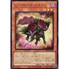 DOOD-JPS02 Red Rose Dragon (Ultra Rare) Doom of Dimensions DOOM OF DIMENSIONS +1 Assist Pack Effect UR Ultra Rare Black Rose Black Rose Dragon