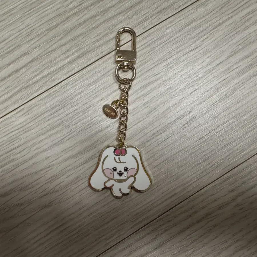 

Металлический брелок Ive Switch Popup Store Wonyoung