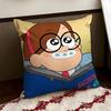 Ggravity Ffalls Anime Cushion Cover Reversible Soft Durable Pillow Cover Home  Car MultiScene Use for Daily Comfort