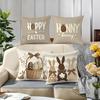 Easter Bunny Pillow Cover Set Happy Easter Honey Bunny Print Soft Cozy For Sofa Bed Living Room Spring Farmhouse Decor Gifts