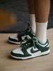 Nike Dunk Low 'Michigan State' Skate Schoenen Sneakers DD1391-101