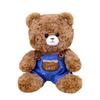 Plush Bear Couple Toy With Pp Cotton Filling For Romantic Gifts And Bed Decor