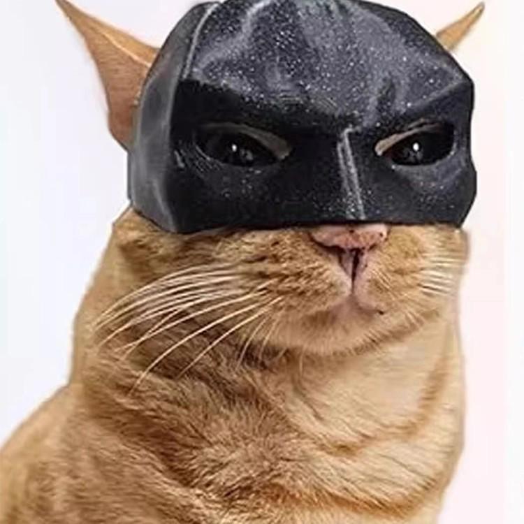 Schwarze Fledermaus Katzenmaske - Halloween Clownhut für Katzen