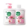 Antibacterial Moisturizing Hand Wash Floral Set