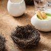 Bird Eggshell Serving Bowl Glossy Ceramic Decoration Bowl for Salad Fruit Display and Home Table Styling Use