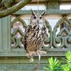 Outdoor Garden Ringing Owl Shape to Deter Birds Hanging Pendant Bird Scarer Gadget with Reflective Strap for Outdoor