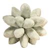25cm Lifelike Succulent Plants Plush Stuffed Toys Soft Doll Creative Potted Flowers Pillow Chair Cushion for Girls Kids Gift