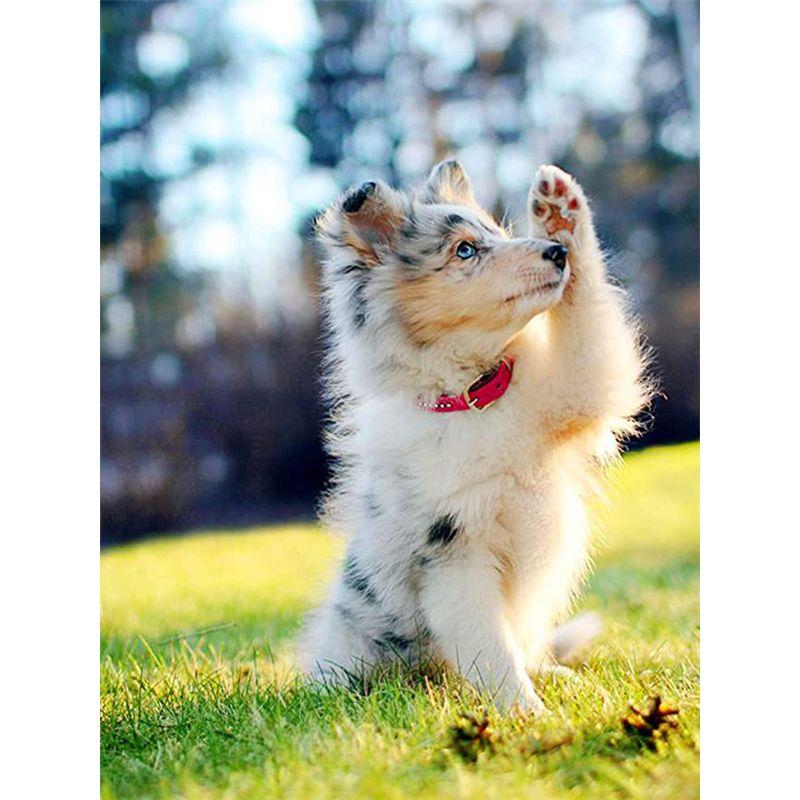 

5D DIY Алмазная картина животное вышивка крестиком ремесло полная круглая дрель Алмазная вышивка распродажа украшение дома изображение Full Round 20x25CM