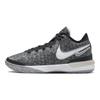 Nike Zoom LeBron NXXT Gen EP Black Wolf Grey Men Sneakers White Light-Bone DR8788-005