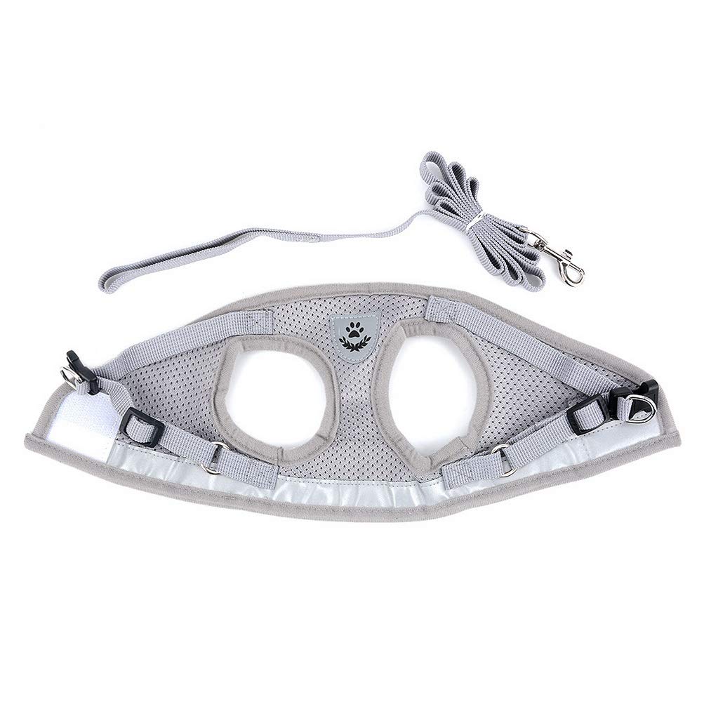 Zunea Set Ham și Lesă pentru Câini Mici și Ham din Plasă Respirabilă cu Reflectorizant Sigur și Ușor Ajustabil și Ușor de Pus și Scos