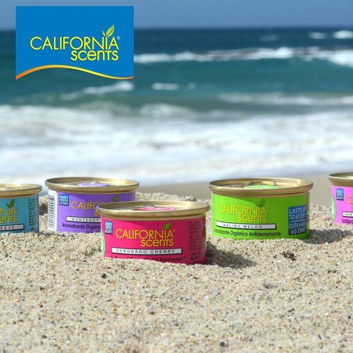 Désodorisant - California Scents - Concord canneberge - 42 grammes - Voiture - Bordeaux