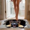 3D Rugs Optical Illusion Squirrel And Dog Soft Non-Slip Quick Dry Mat 3D Optical Illusion Rug For Birthday Halloween