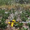 360° Rotating Automatic Rotating Sprinkler Water Saving Garden Sprinkler  Garden Watering