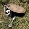 Halloween decoration skeleton model arm 3-piece set movable realistic strong sense realism plastic test courage ghost simulation interior party tool