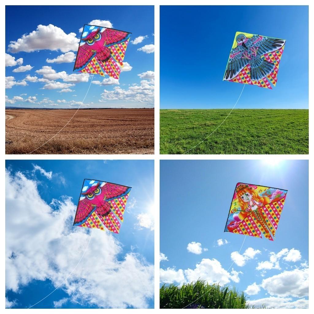 1 Meter Printed Multi-tail Kite For Children Easy To Fly Cartoon Kite Small Kite
