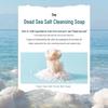 Moo Hyun Hwa Dead Sea Salt Exfoliating Cleansing Soap