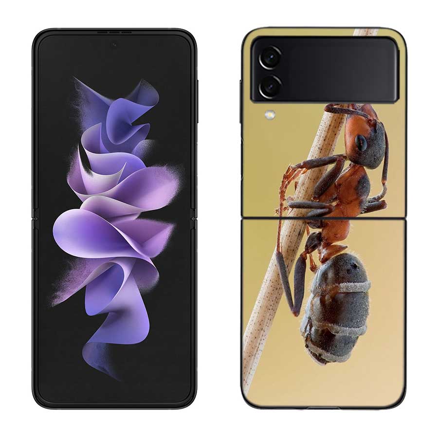 Red Fire Ants, Worker Ants Phone Case For Samsung Z Flip 7 6 5G Galaxy Z Flip 5 4 3 Black Hard Cell Cover Luxury PC Shell Coque