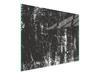 GLASSCHNEIDEBRETT 52x30 GRAU