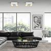 Andy Ceiling Lamp 2Xgu10 White + Gold