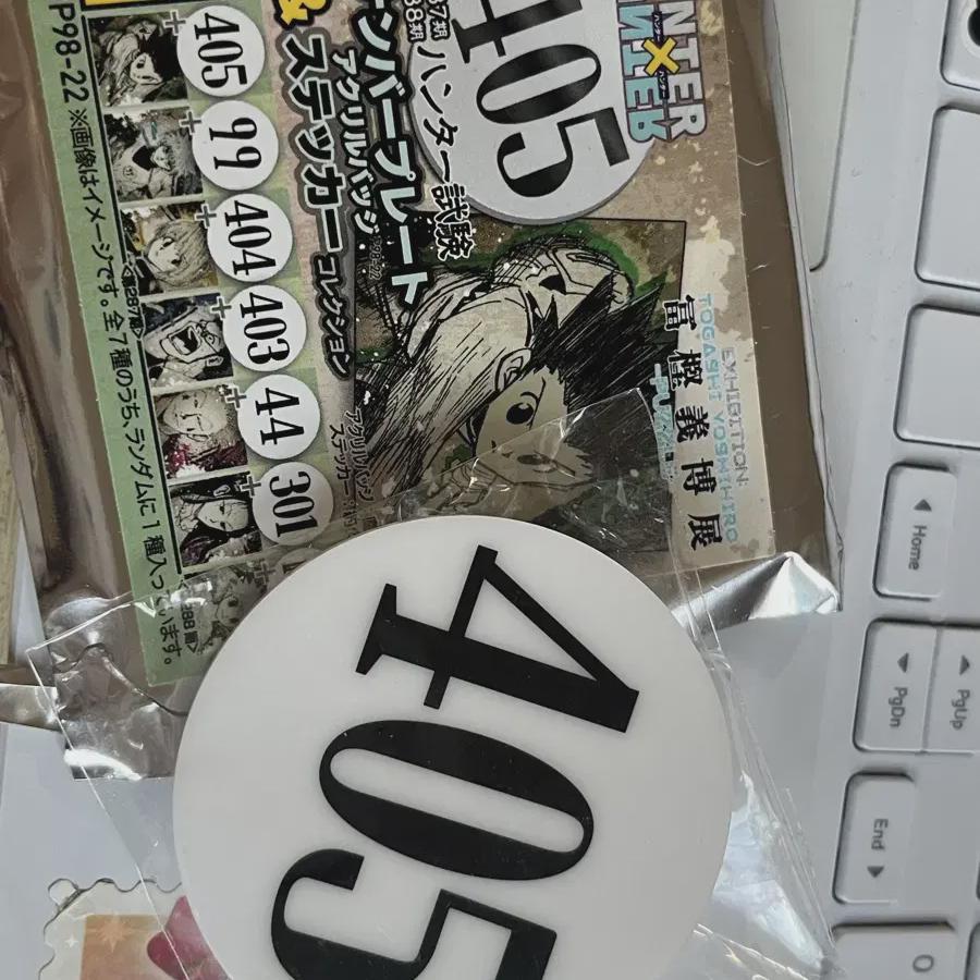 

Хантер Хантер Гон Фрикс Номерной знак Номер для экзамена Значок