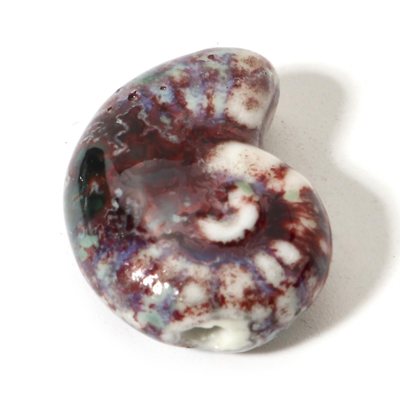 

10 PCs 3D Ceramic Ocean Jewelry Beads For DIY Charm Jewelry Making Conch/ Sea Snail Bead About 21mm x 17mm, Hole: Approx 2mm колір червонувато-коричневий колір